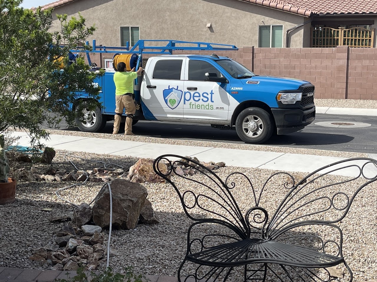 Pest Friends project
